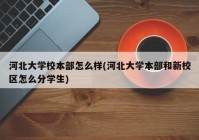 河北大学校本部怎么样(河北大学本部和新校区怎么分学生)