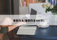 暑假作文(暑假作文300字)