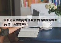 有机化学中的py是什么意思(有机化学中的py是什么意思啊)