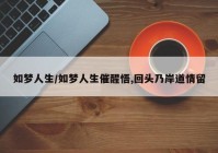 如梦人生/如梦人生催醒悟,回头乃岸道情留
