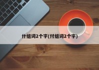什组词2个字(付组词2个字)