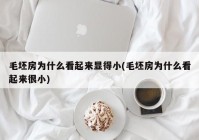毛坯房为什么看起来显得小(毛坯房为什么看起来很小)