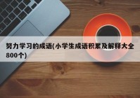 努力学习的成语(小学生成语积累及解释大全800个)