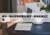 两学一做大学落实情况/两学一做落实情况汇报
