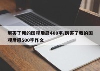 厉害了我的国观后感400字/厉害了我的国观后感500字作文