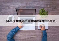 【小小流浪狗,小小流浪狗歌词是什么意思】