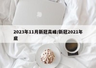2023年11月新冠高峰/新冠2021年底