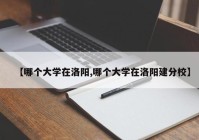 【哪个大学在洛阳,哪个大学在洛阳建分校】