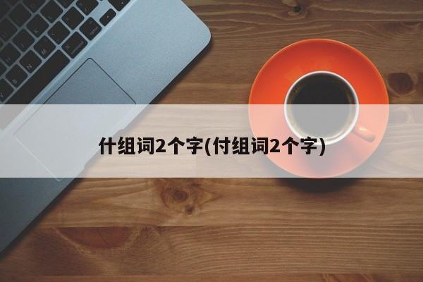 什组词2个字(付组词2个字)