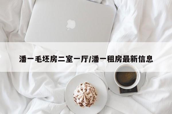 潘一毛坯房二室一厅/潘一租房最新信息