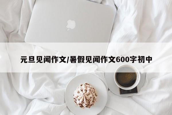 元旦见闻作文/暑假见闻作文600字初中
