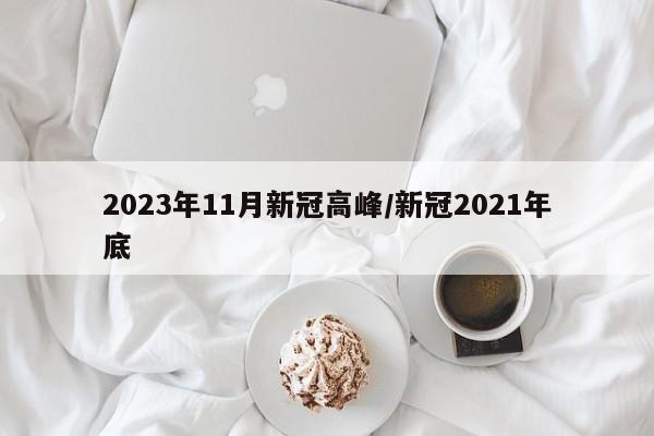 2023年11月新冠高峰/新冠2021年底